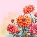 watercolor painting of flowers - zinnias