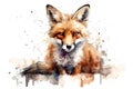 Watercolor painting of a fox on a white background. Wildlife Animals. Illustration, generative AI Royalty Free Stock Photo