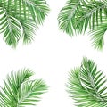 Watercolor painting frame coconut,palm leaf,green leaves isolated on white background.Watercolor hand .painted illustration tropic Royalty Free Stock Photo