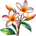 Watercolor painting of a Frangipani (Plumeria rubra) flower. AI-Generated.