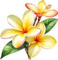 Watercolor painting of a Frangipani (Plumeria rubra) flower. AI-Generated.