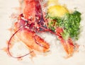 Watercolor painting of freshly boiled red lobster lying on a table with lemon and dill Royalty Free Stock Photo