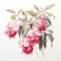 Pastel Watercolor Painting Of Pink Flowering Fuchsinopsis