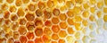 Watercolor painting of golden honeycomb. Painted honeycomb texture background. Honey production, apiculture. Generative AI