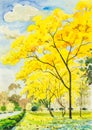 Watercolor painting golden tree flowers in sky and cloud background Royalty Free Stock Photo