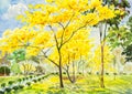 Watercolor painting golden tree flowers in sky and cloud background Royalty Free Stock Photo