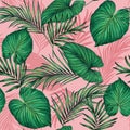 Watercolor painting green,coconut leaves seamless pattern with shadow on pink background.Watercolor llustration palm,pink leaf,tre