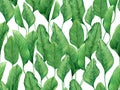 Watercolor painting green leaves seamless pattern on white background.Watercolor hand drawn illustration tropical exotic leaf prin Royalty Free Stock Photo