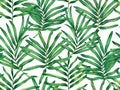 Watercolor painting green leaves seamless pattern on white background.Watercolor hand drawn illustration tropical exotic leaf prin Royalty Free Stock Photo