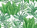 Watercolor painting green leaves seamless pattern on white background.Watercolor hand drawn illustration tropical exotic leaf prin Royalty Free Stock Photo