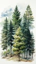 A watercolor painting of a group of trees.