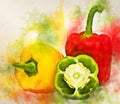 Watercolor painting of group of various paprika