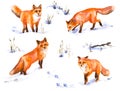 Red Fox Watercolor Sketch Royalty Free Stock Photo