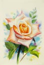 Watercolor painting happy postcard colorful of rose.