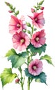 Watercolor painting of Hollyhock flower. Illustration of flowers. AI-Generated.