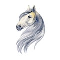 Watercolor Painting Of Horse Portrait Isolated On White Background.