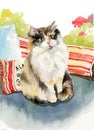 Watercolor painting illustration cat kitty kitten watercolor painting illustration cat kitty kitten adorable