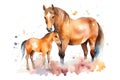 watercolor painting illustration of a horse with a small foal