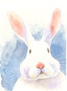 Watercolor painting illustration puzzled bunny