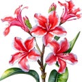 Watercolor painting of Impala Lily (Adenium multiflorum) flower. AI-Generated.