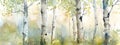 Watercolor painting inspired by the beauty of birch trees in spring. fluidity of watercolors to bring these trees to life on paper