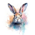 jack rabbit Generative Ai