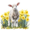 Watercolor Painting of a Lamb Standing in a Field of Daffodils AI Generated Royalty Free Stock Photo