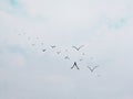 Watercolor painting landscape birds flying in the blue sky with cloud.for background Royalty Free Stock Photo