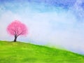 Watercolor landscape hill and cherry blossom or sakura tree stand alone in green meadow field with blue sky.hand drawn on paper. Royalty Free Stock Photo
