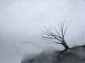 Painting landscape lonely dead tree in the winter season. Royalty Free Stock Photo