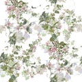 Watercolor painting of leaf and flowers, seamless pattern on white background. Royalty Free Stock Photo