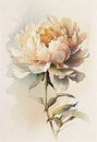 A watercolor painting of light brown peonies leaning towards a hanging scroll, hand tinted...Light brown peonies