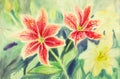 Watercolor painting with Lilly flowers. Royalty Free Stock Photo