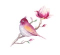 Watercolor Painting Magnolia blossom flower and bird wallpaper d