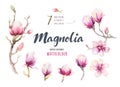 Watercolor Painting Magnolia blossom flower wallpaper decoration