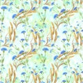 Cornflowers and ears of wheat. Seamless pattern. Watercolor. Wallpaper. Use printed materials, signs, posters, postcards, packagin