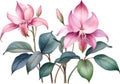 Watercolor painting of Medinilla flower. Ai-Generated Royalty Free Stock Photo