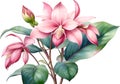 Watercolor painting of Medinilla flower. Ai-Generated Royalty Free Stock Photo