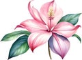 Watercolor painting of Medinilla flower. Ai-Generated Royalty Free Stock Photo