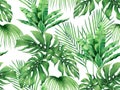 Watercolor painting monstera,coconut,banana leaves seamless pattern background.Watercolor hand drawn illustration tropical exotic Royalty Free Stock Photo