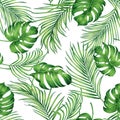 Watercolor painting monstera,coconut leaves seamless pattern with shadow on white background.Watercolor llustration palm,pink leaf Royalty Free Stock Photo