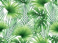 Watercolor painting monstera,coconut leaves seamless pattern on white background.Watercolor hand drawn illustration tropical exoti