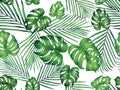 Watercolor painting monstera,coconut leaves seamless pattern on white background.Watercolor hand drawn illustration tropical exoti
