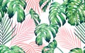 Watercolor painting monstera,coconut leaves seamless pattern on white background.Watercolor hand drawn illustration tropical exoti Royalty Free Stock Photo