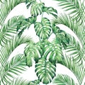 Watercolor painting monstera,palm leaves seamless pattern background.Watercolor hand drawn illustration tropical exotic leaf print Royalty Free Stock Photo