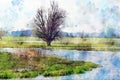 Watercolor painting of old Willow tree on Havel river in Havelland Germany. Autumn time Royalty Free Stock Photo