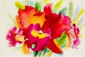 Watercolor painting orange pink red color of orchid flower.