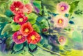 Watercolor painting original flower colorful of pink, red flowers Royalty Free Stock Photo