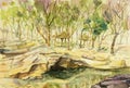 Watercolor painting original landscape colorful of stone, river