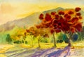 Watercolor painting original landscape red color of peacock flower trees Royalty Free Stock Photo